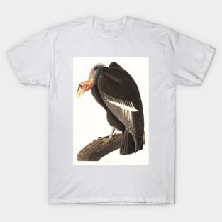 Californian Vulture (1827) T-Shirt